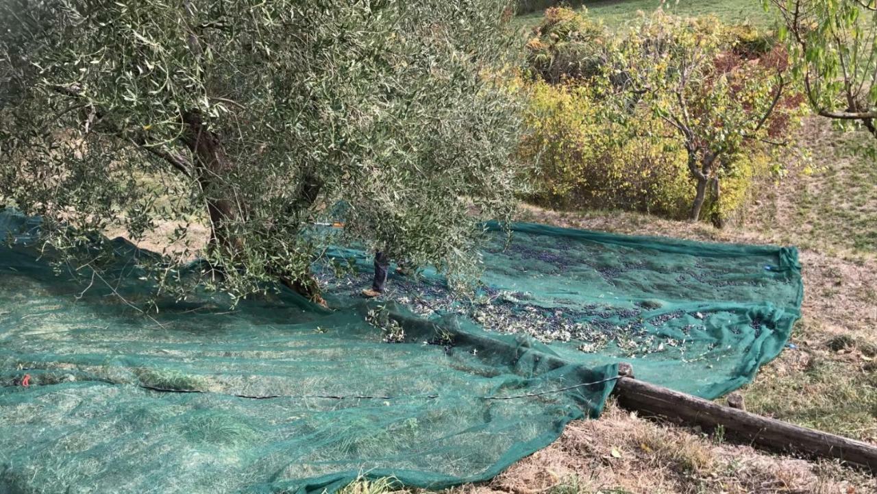 Villa Porsenna تشيوسي المظهر الخارجي الصورة